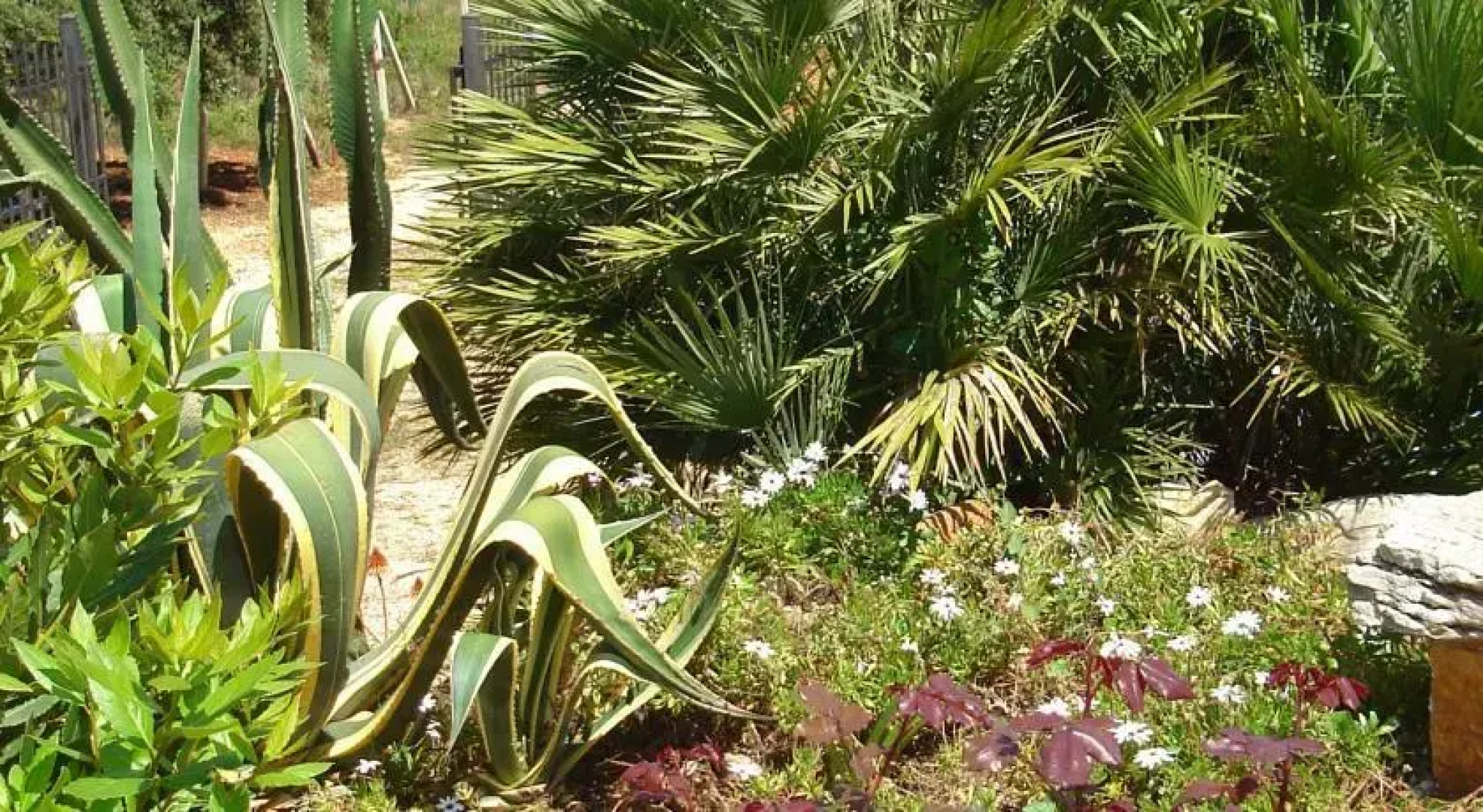 Villa a due passi dal mare