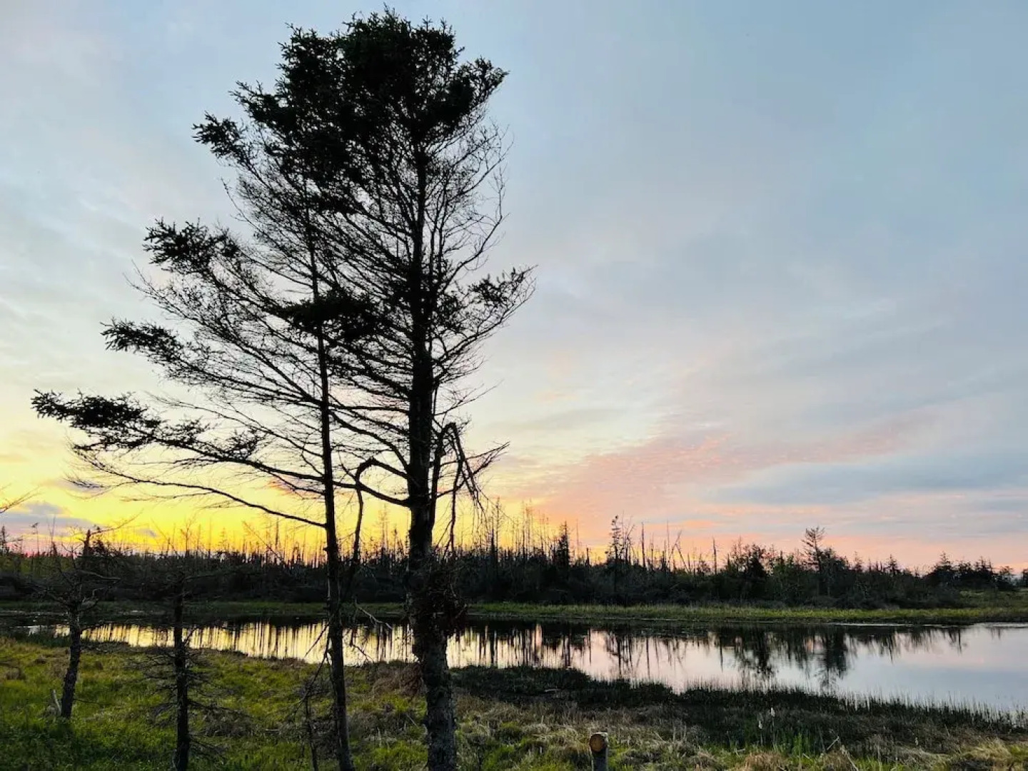 Skyline Terrace Cottages
