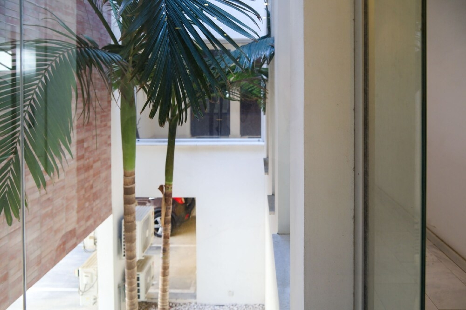 Phaedrus Living: City Luxury Flat Anemone 103