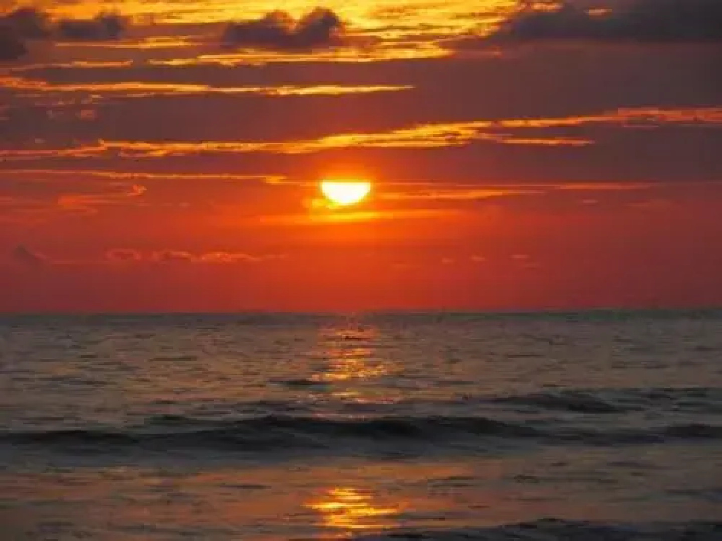 Matapalo Surf School & Beach Cabin