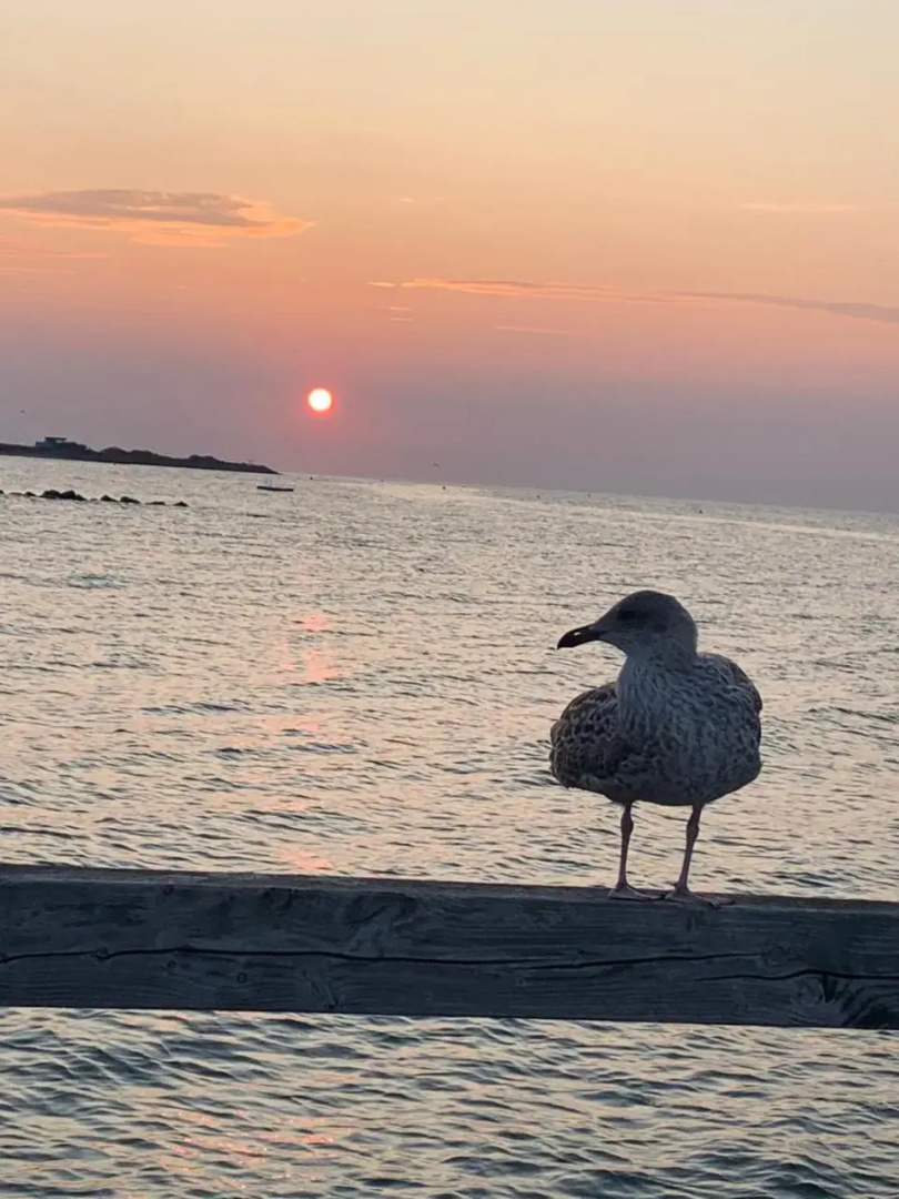 Strandbude 14