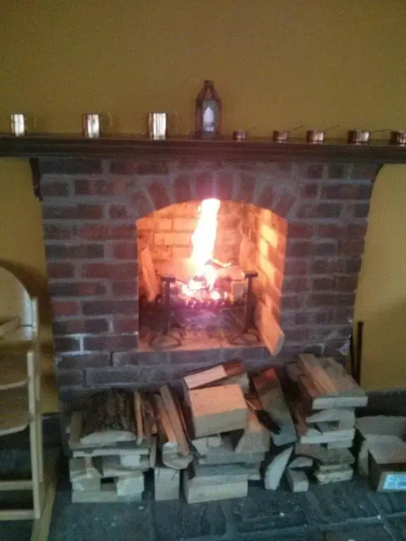 The Geese and Fountain