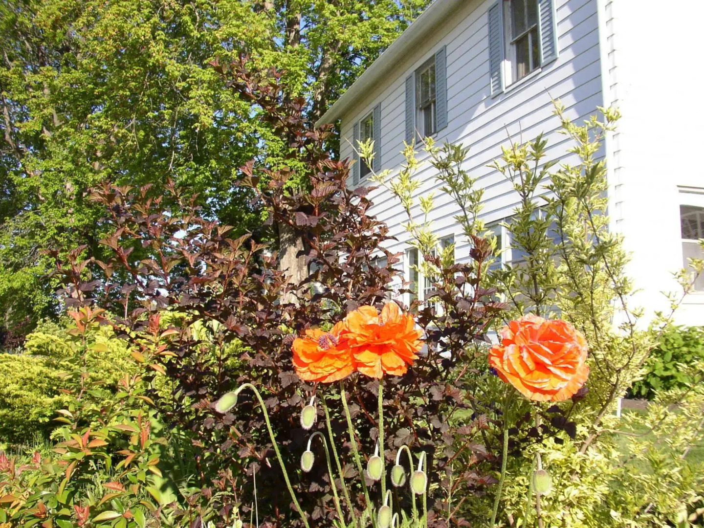 Mettawas End Bed & Breakfast