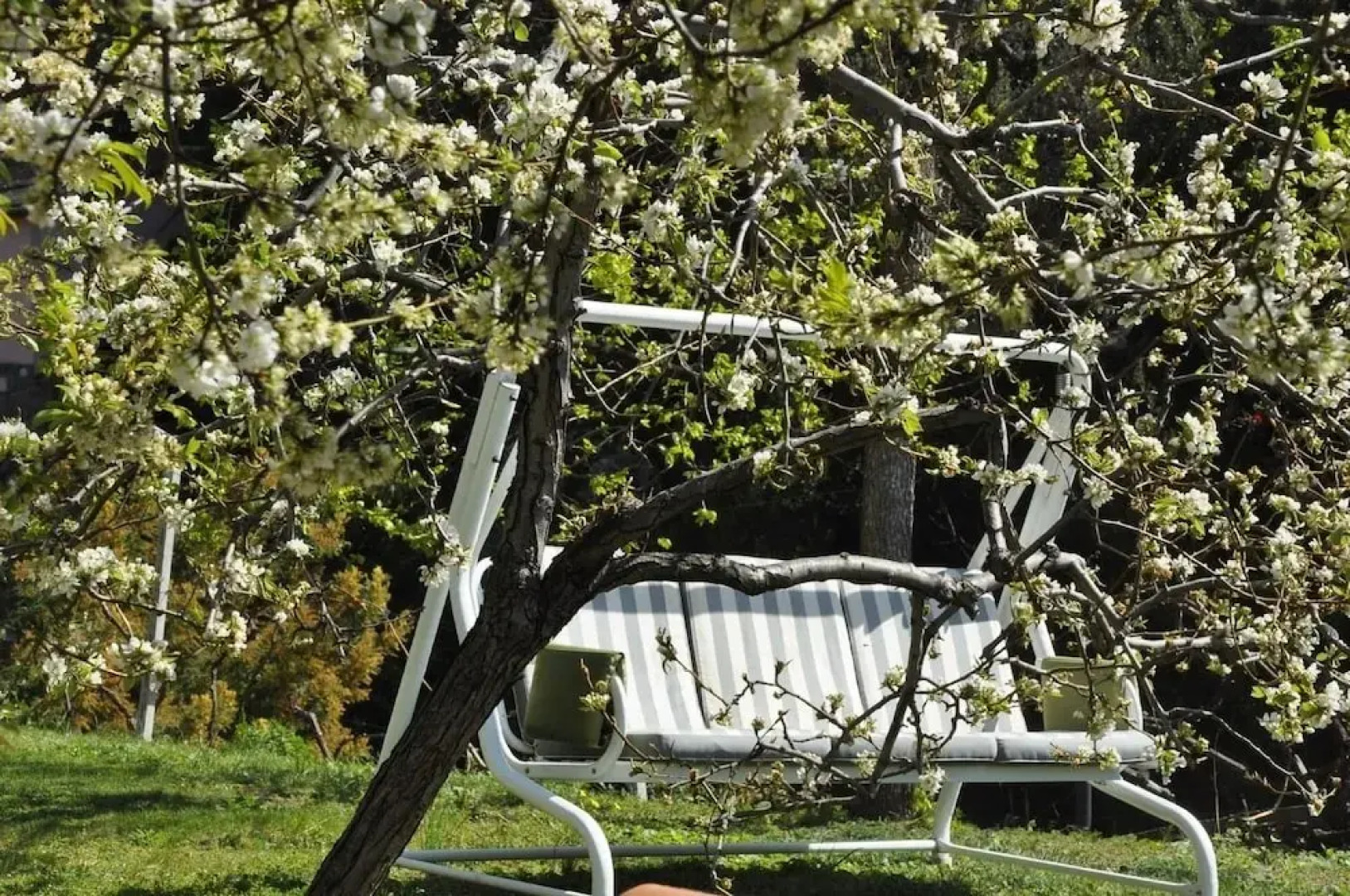 Cà du Ferrà Farm & Relax