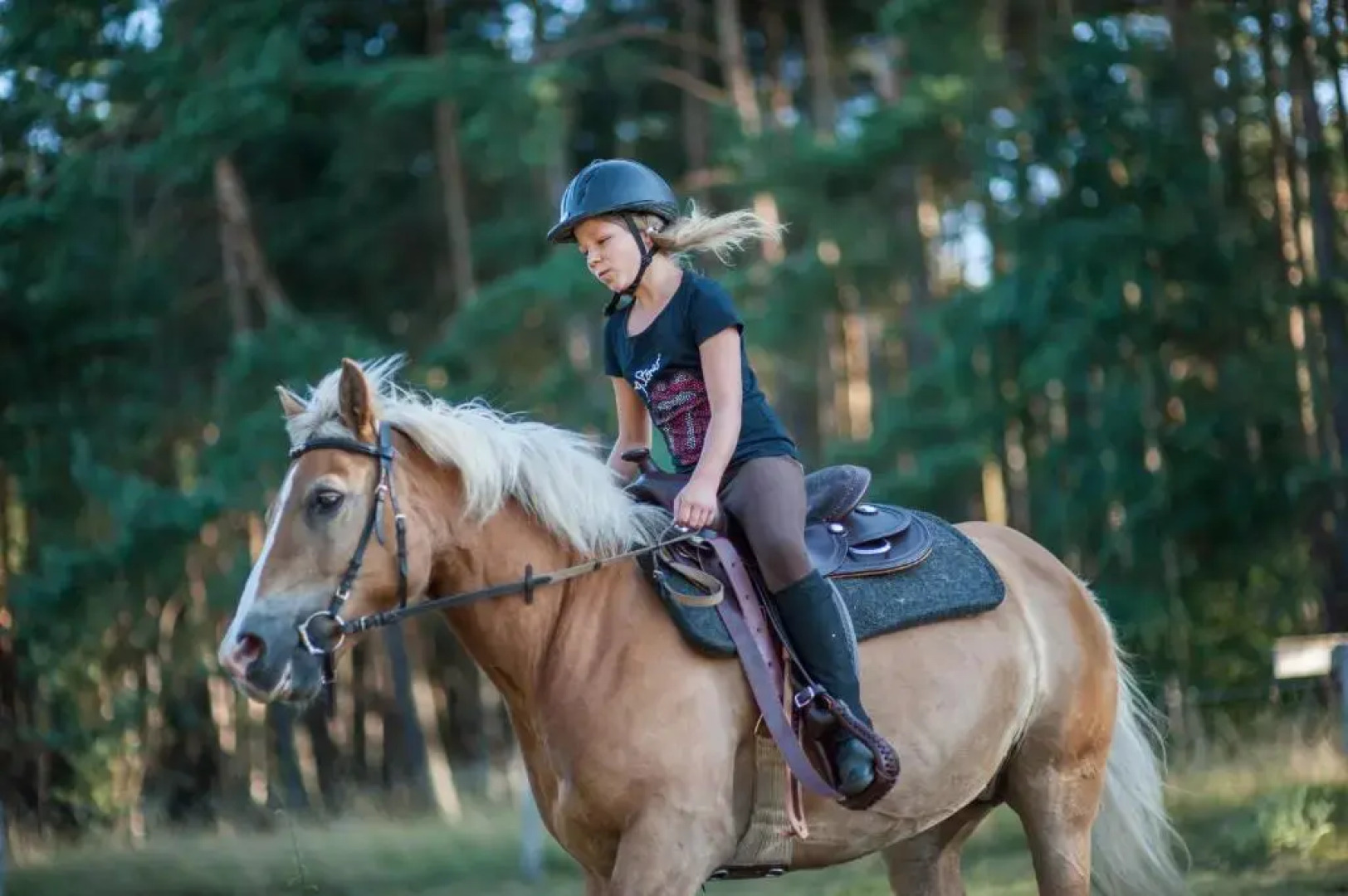 traumHaff Historischer Kahnschifferhof mit Kamin, liebevoll restauriert