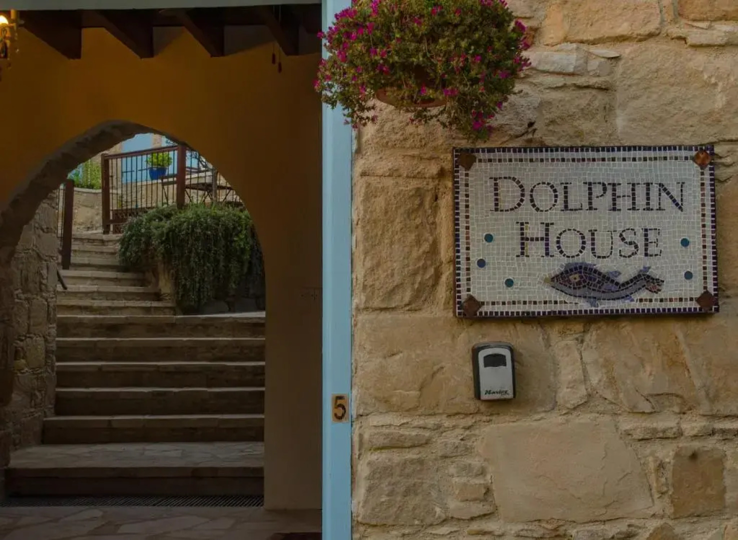 Dolphin Guest House and Studios
