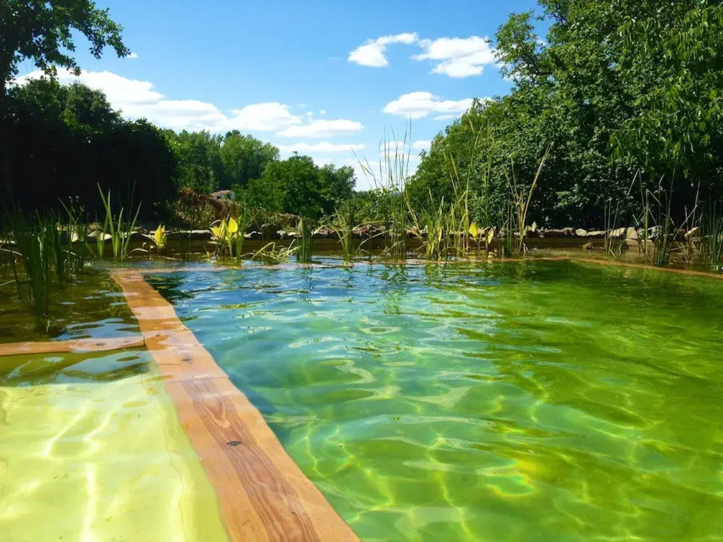 Casas Rurales Camino del Castaño