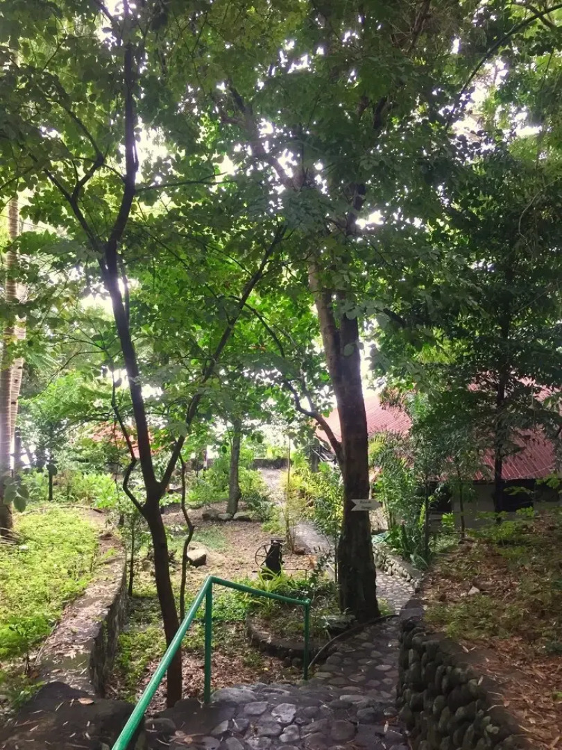 Villa Milagros Dive Inn Anilao