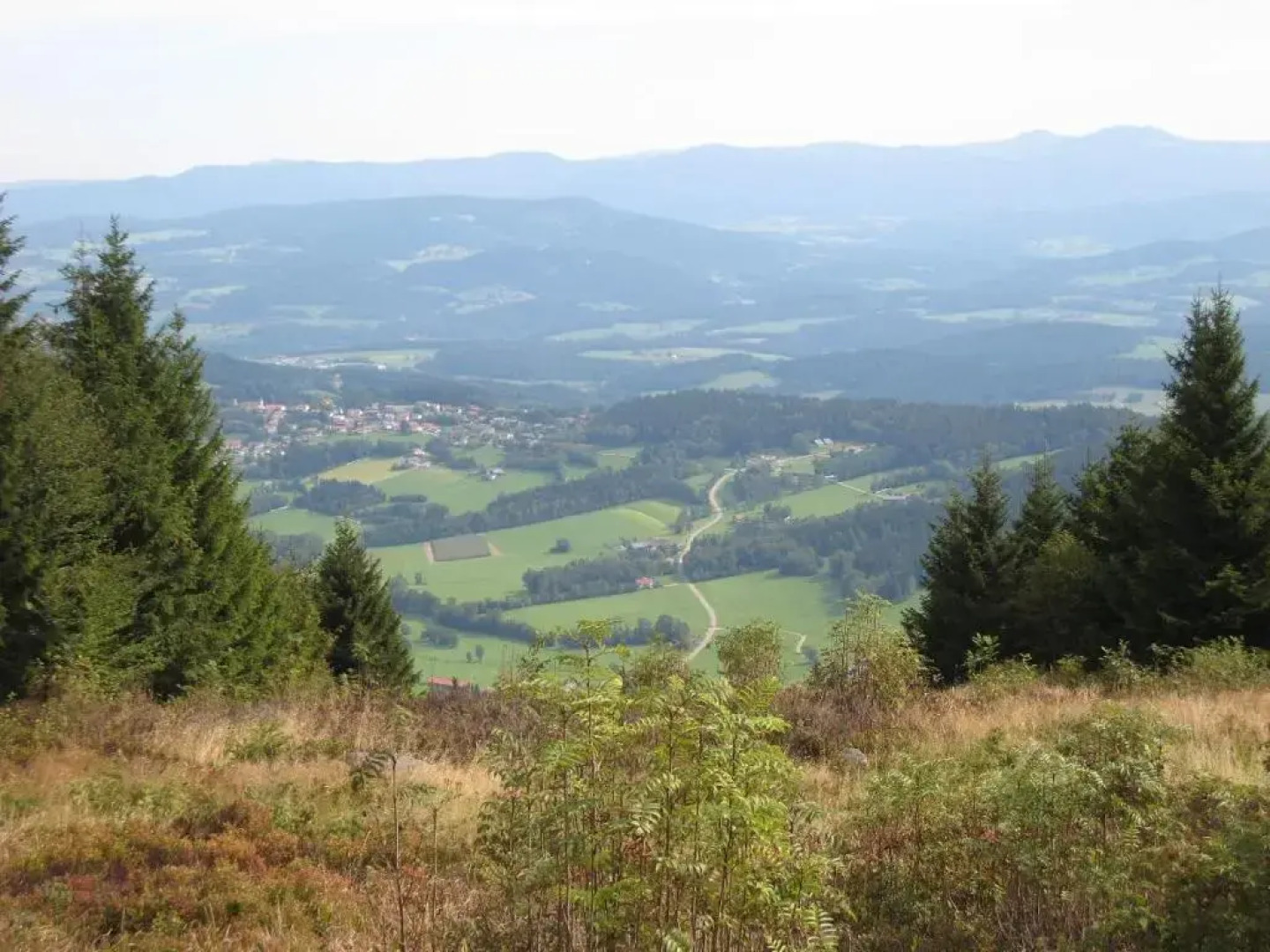 Pension Landhaus Riedelstein