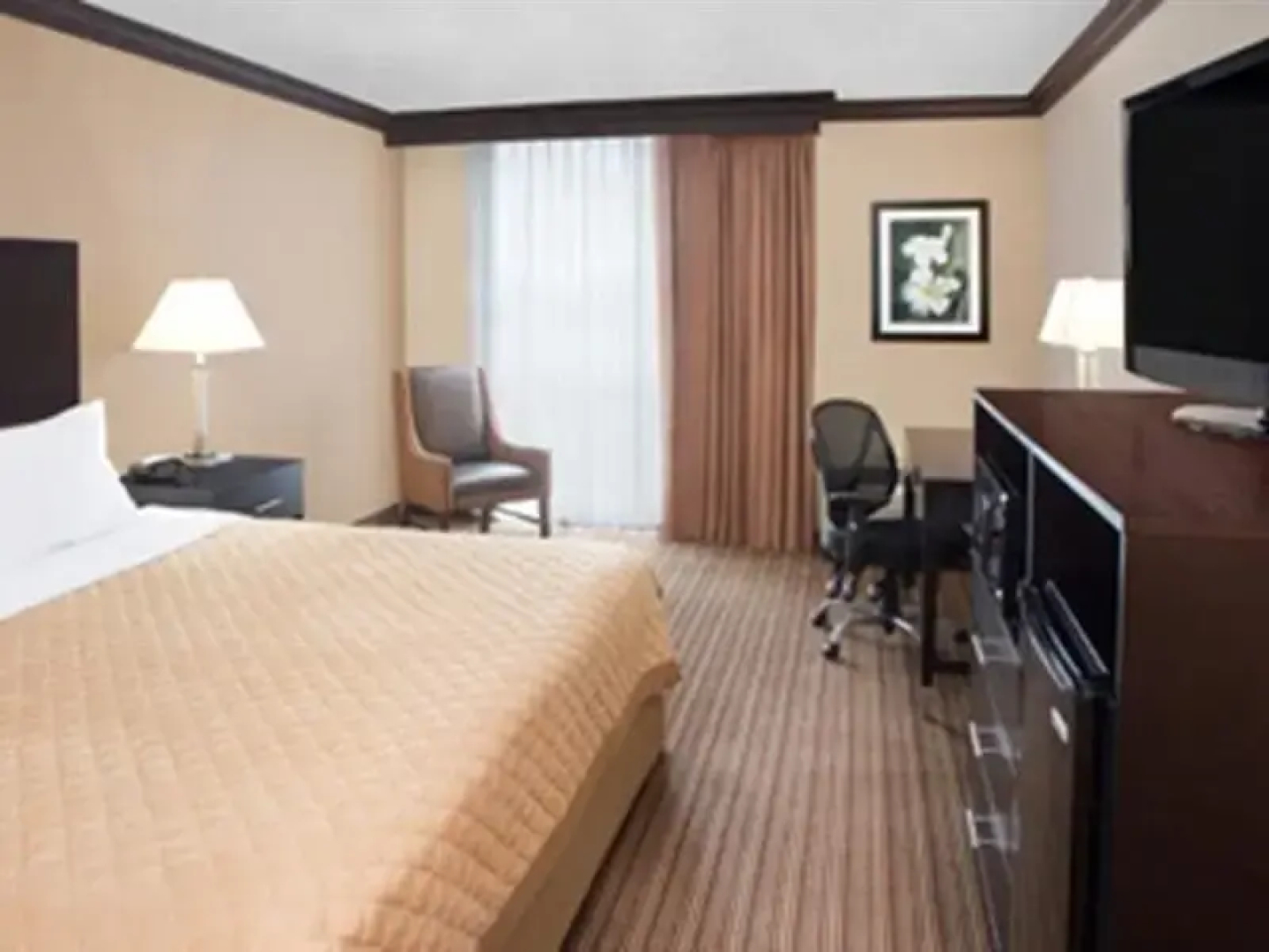 Radisson Hotel Schaumburg