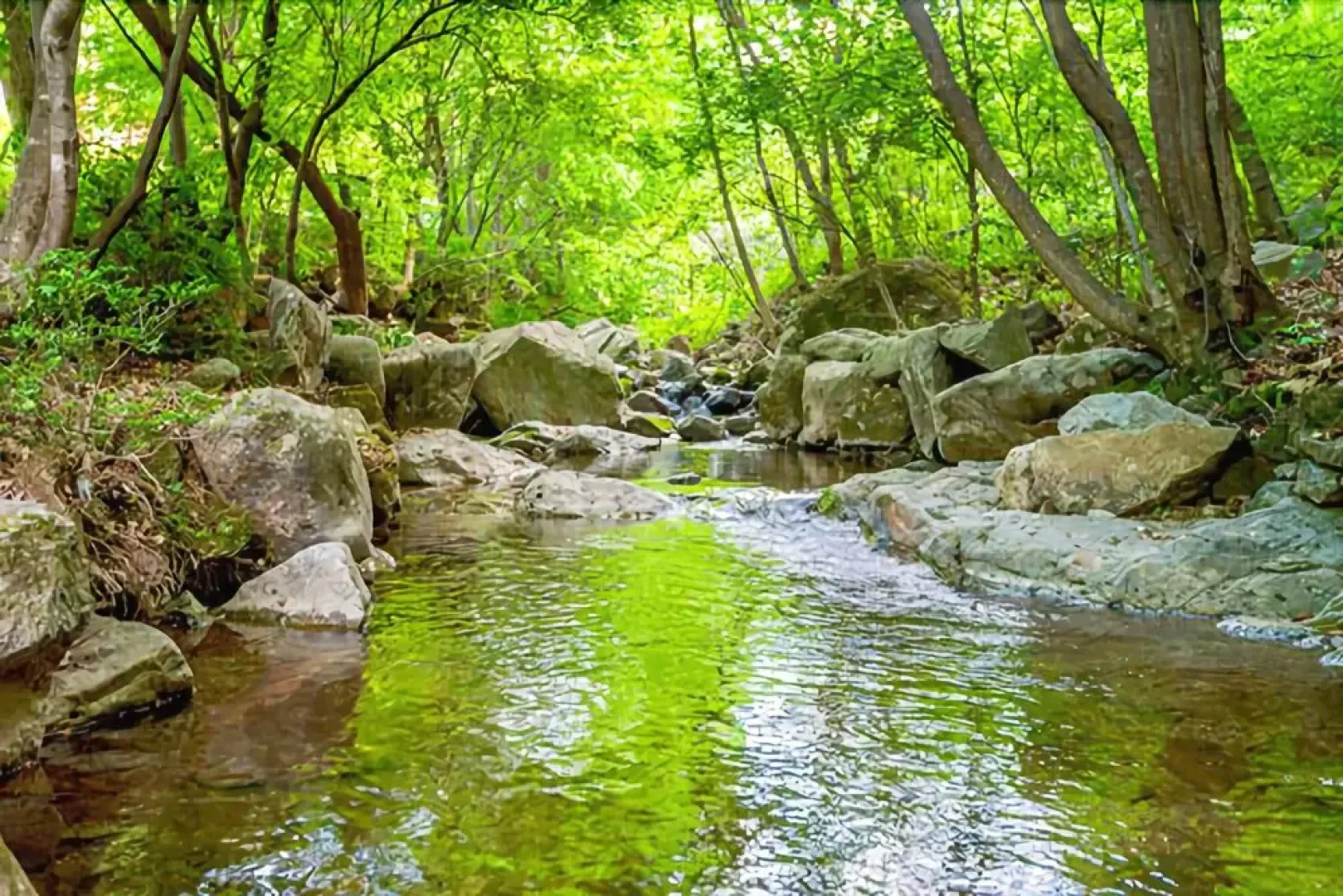 Yangpyeong Vivaldi Pension