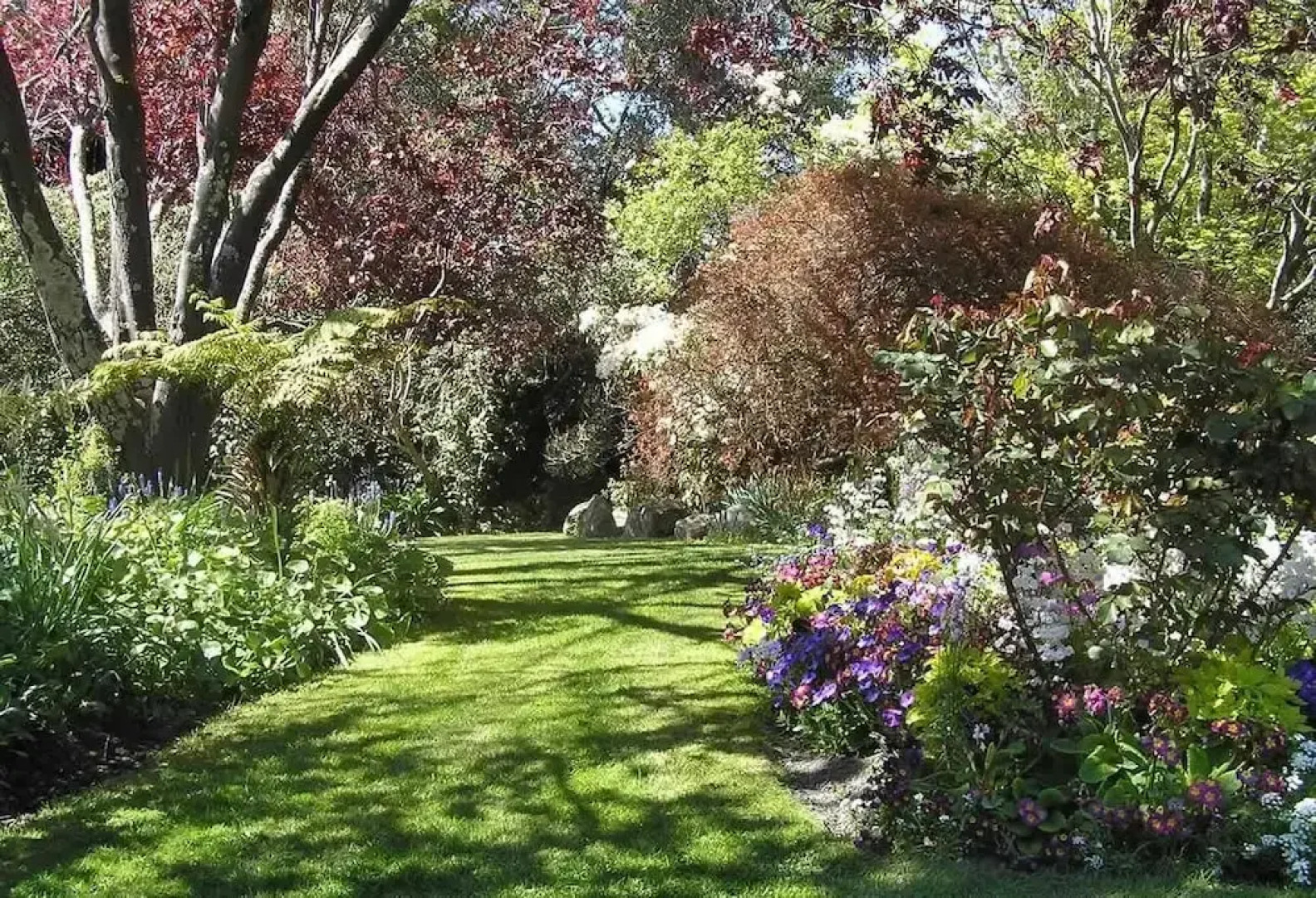 Te Koi The Lodge at Bronte