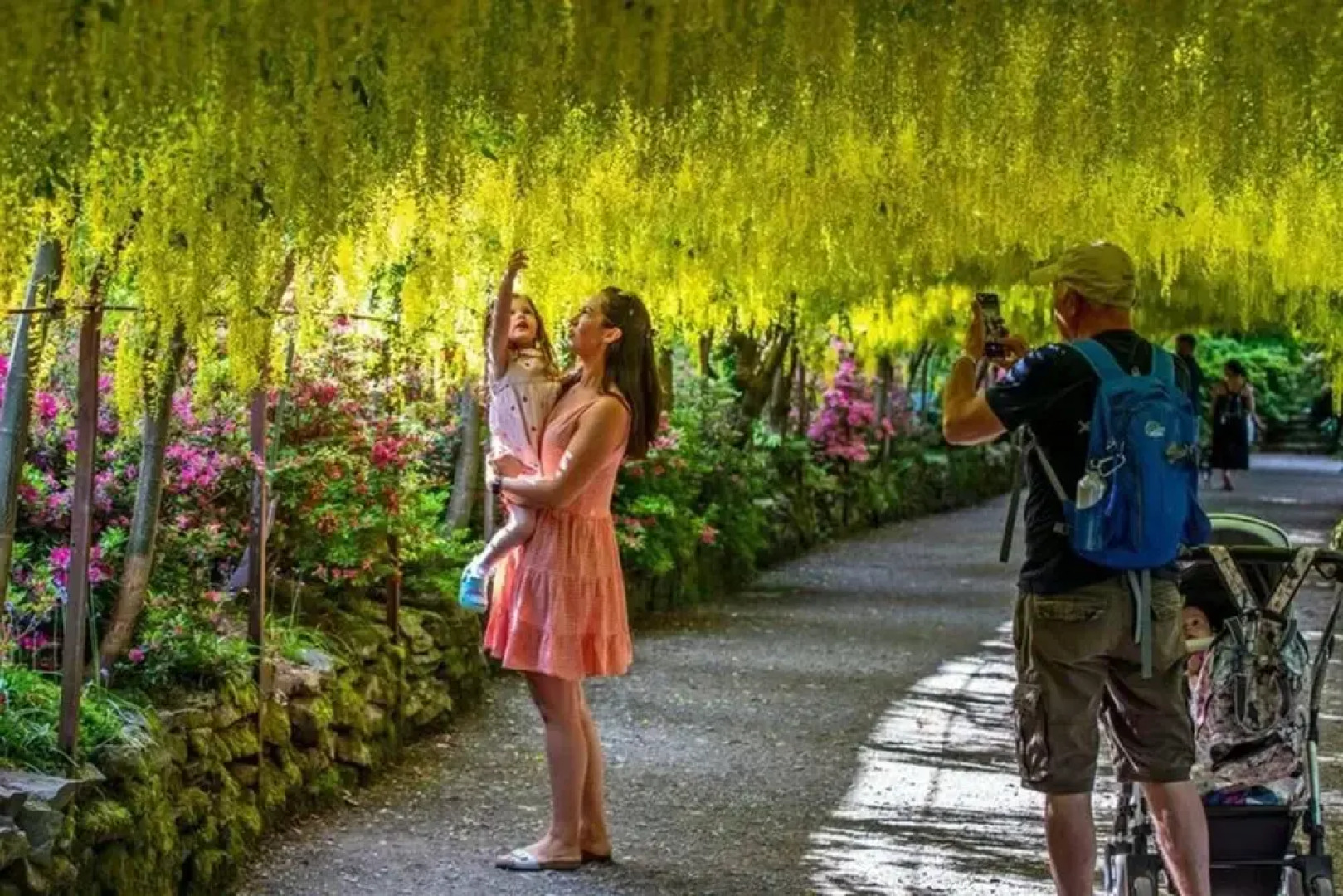 Idlewild Animal Sanctuary Farmhouse Stay - Charity