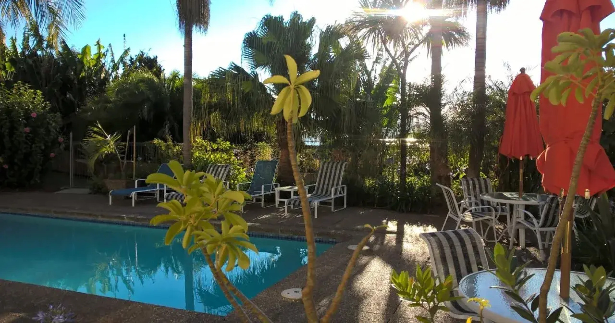 Comfort Hotel Flames Whangerei