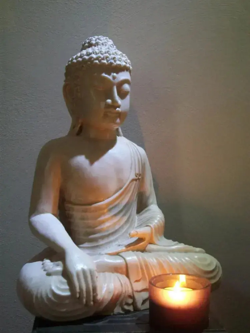 Chambre Zen de Beauval