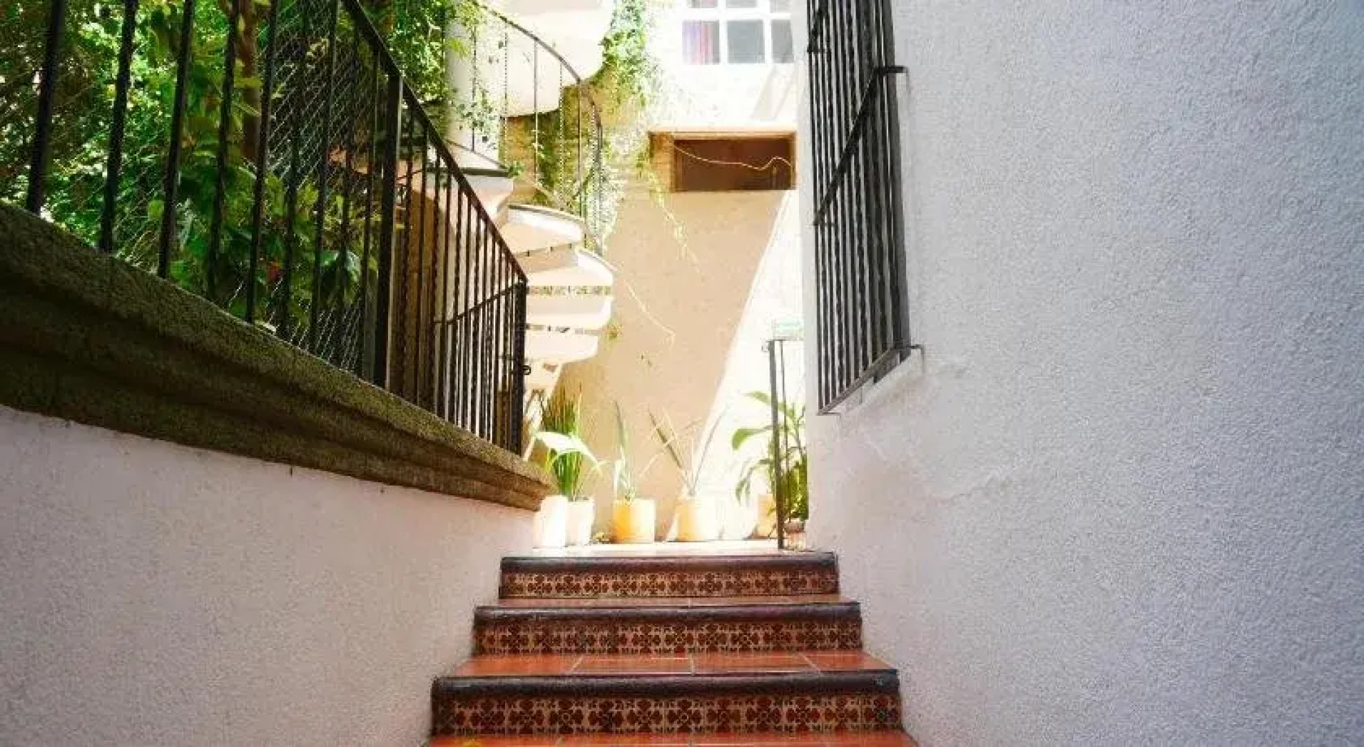 Casa de las Conservas Gold