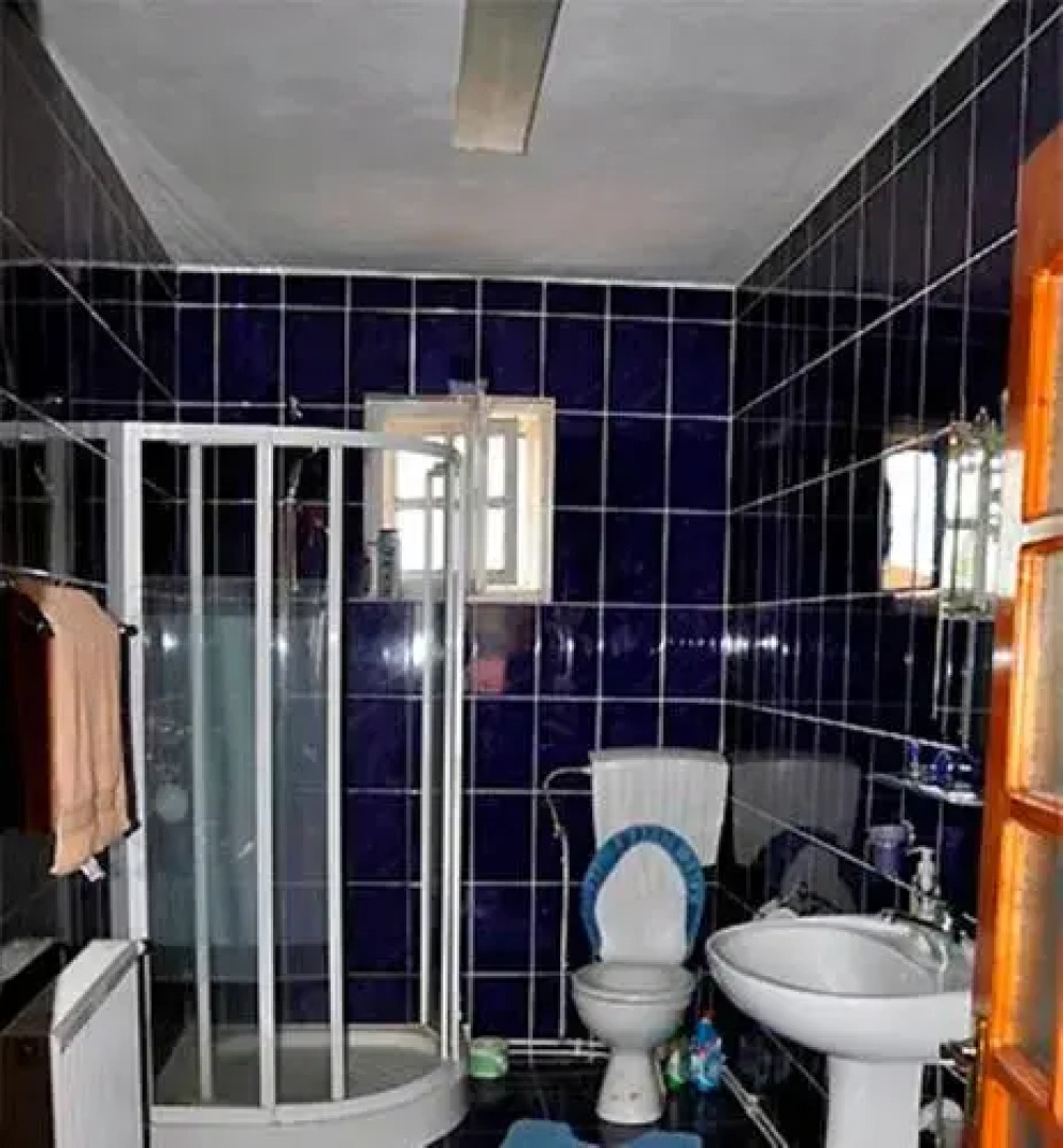 Pensiunea Iancu Salasu de Sus