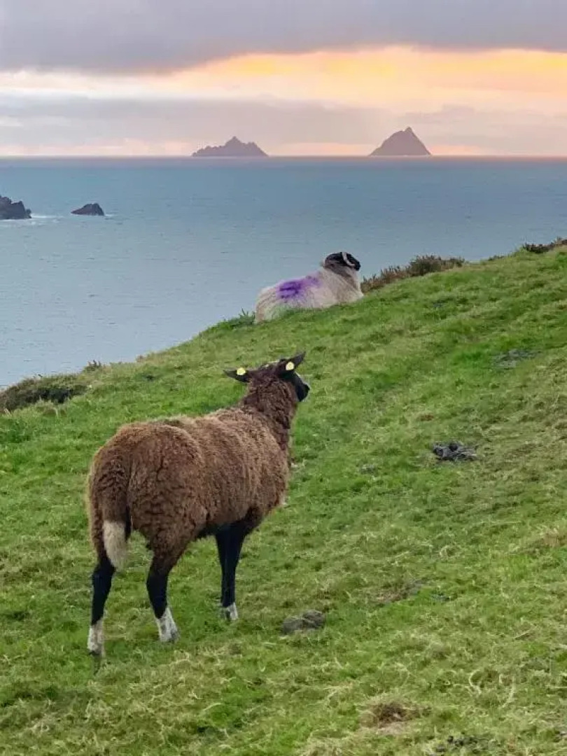 Skellig Port Accomodation - 2 Bed Apartment