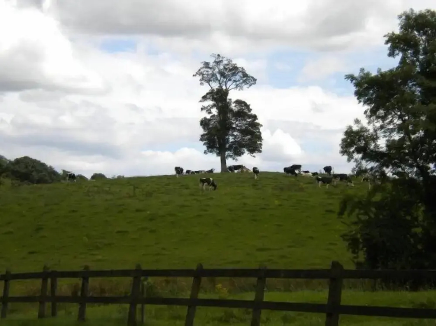 Riverside House Bed & Breakfast