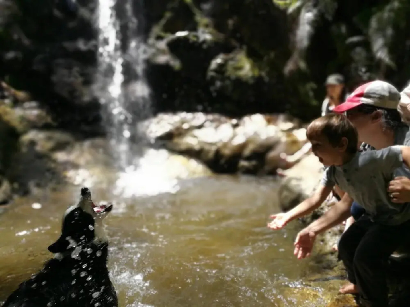 Nightingale Falls Farm Stay Retreat