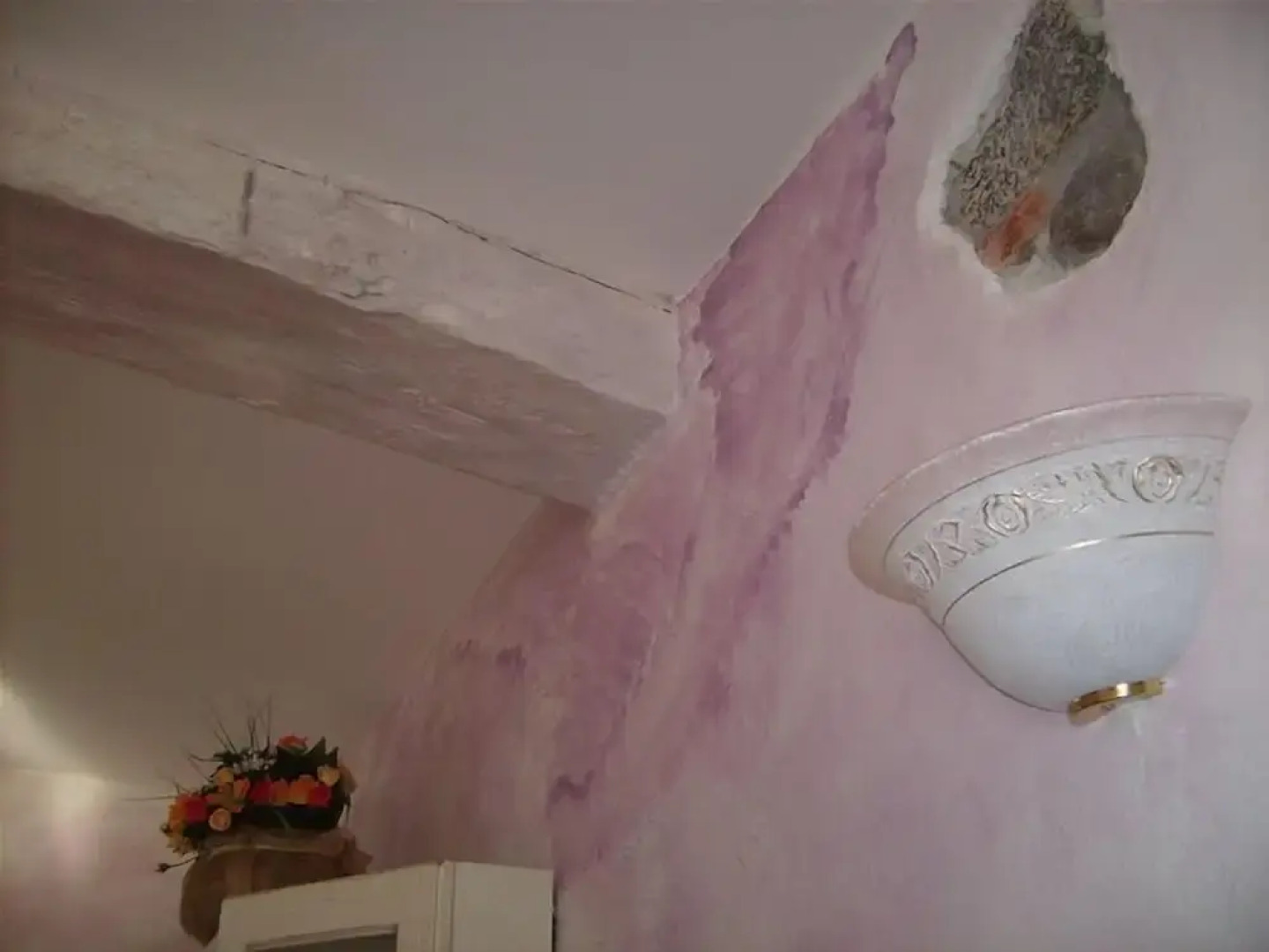 Azalea & Glicine House