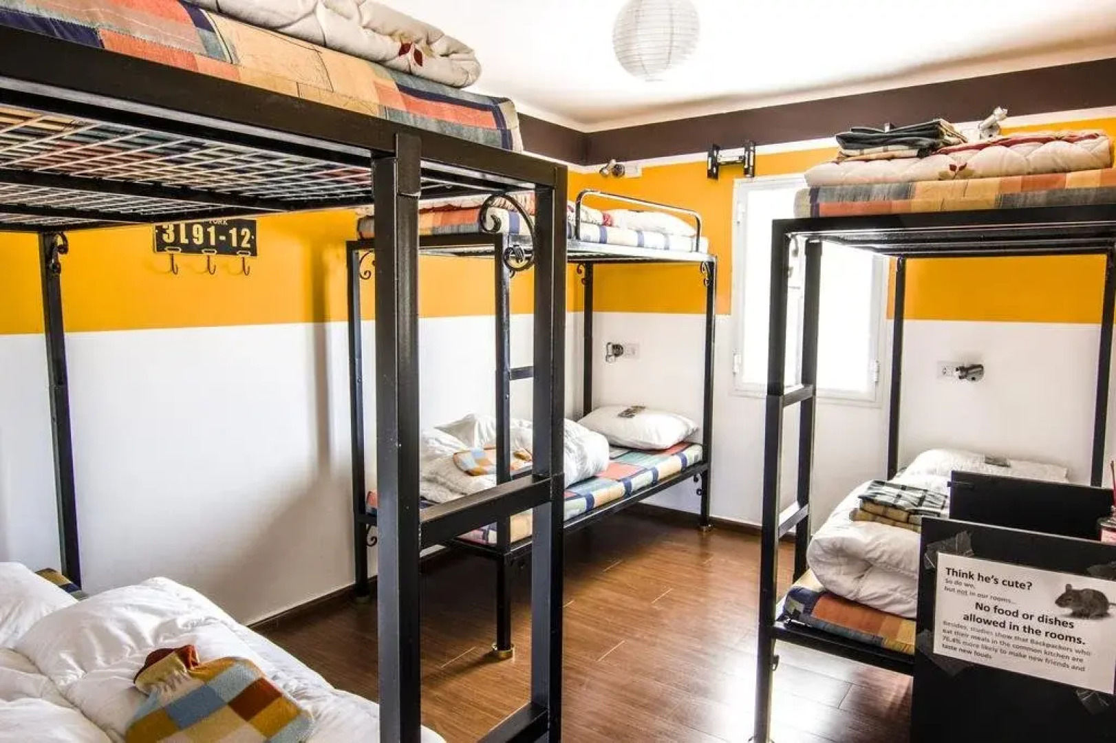 The Green Backpackers