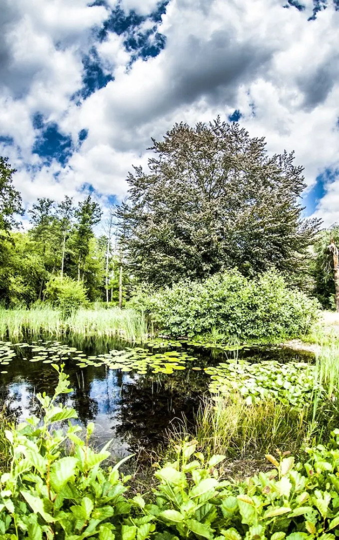 Różana Rezydencja Wellness - Adults Only