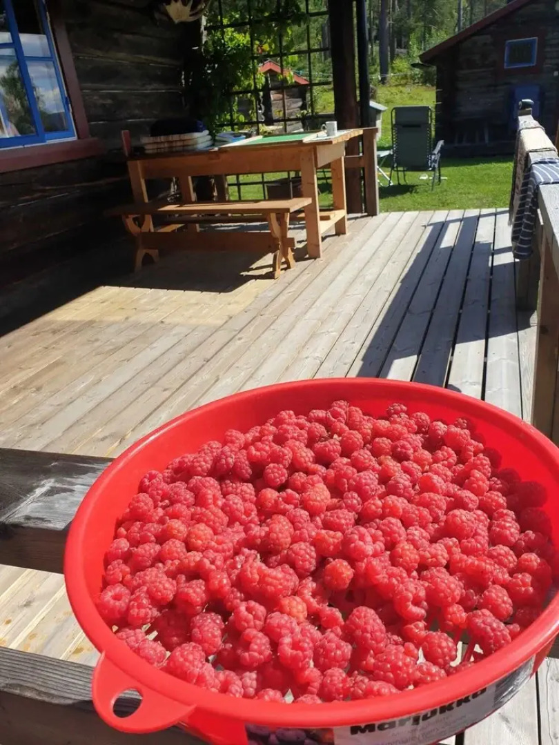 Beautiful 4-5 Persons Cottage in Alvdalen