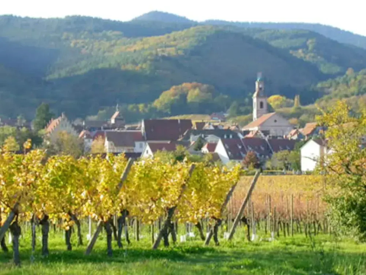 Studio in Valff, With Enclosed Garden and Wifi