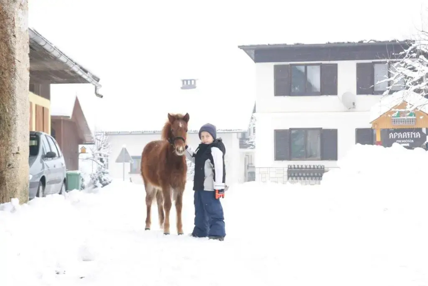 Apartment Pri Boštjanovcu
