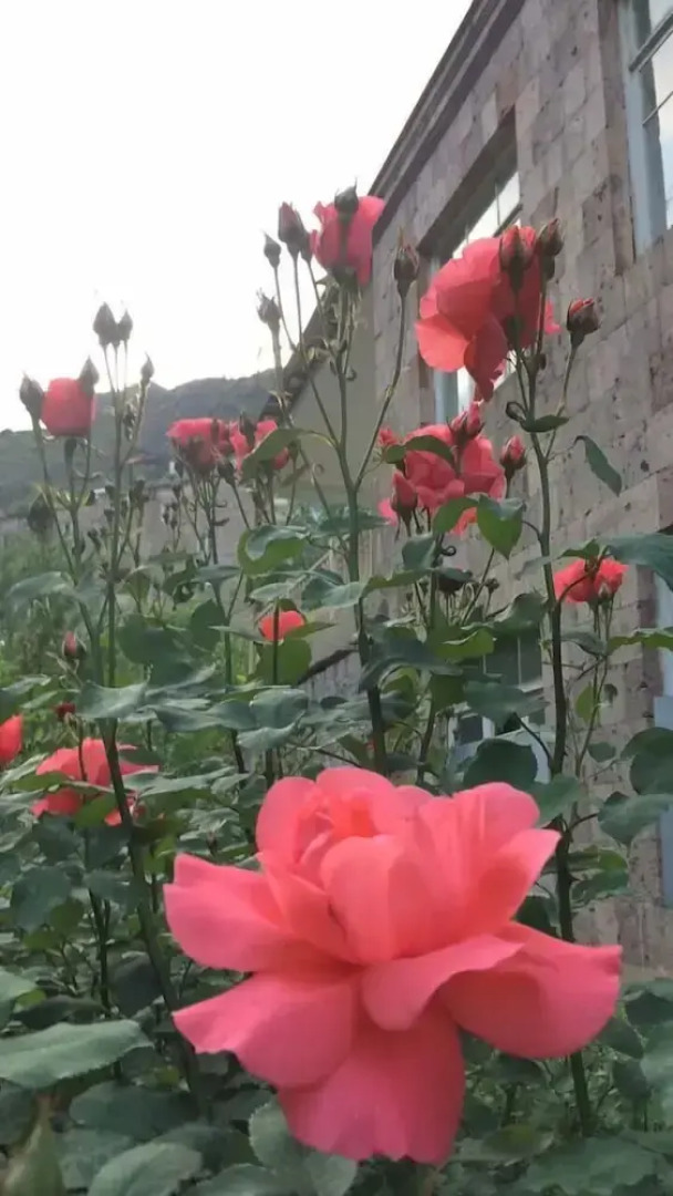 Гостевой дом в Алаверди