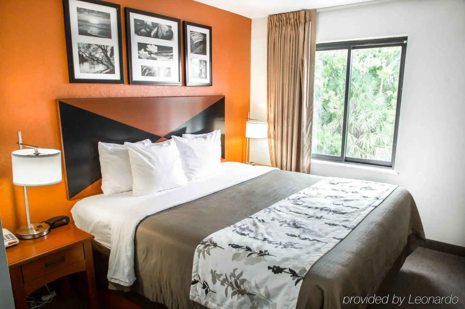 Sleep Inn Sarasota North