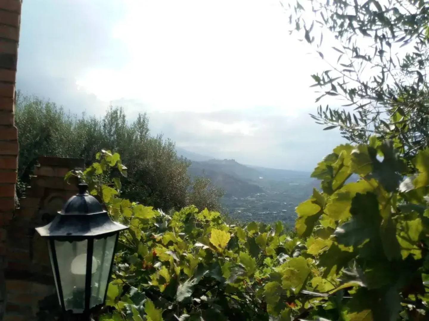 Appartamento Ferraro Turina