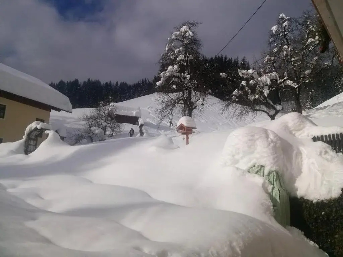 Bio-Bergbauernhof Weger