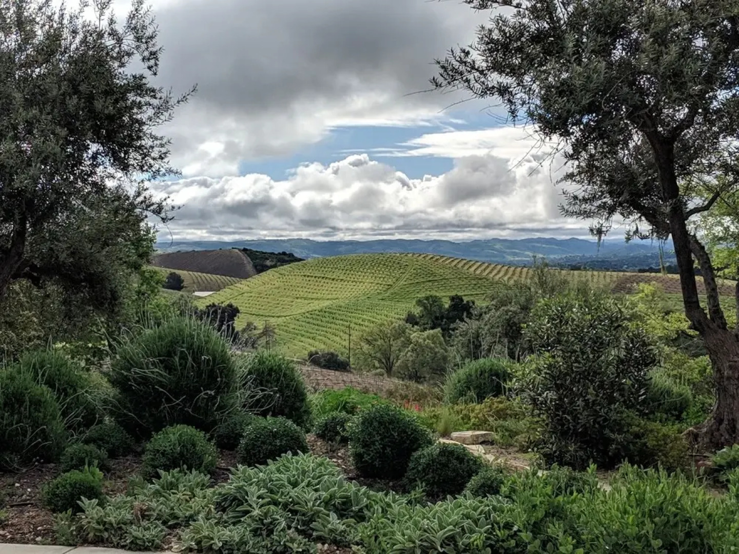 The Inn at Croad Vineyards