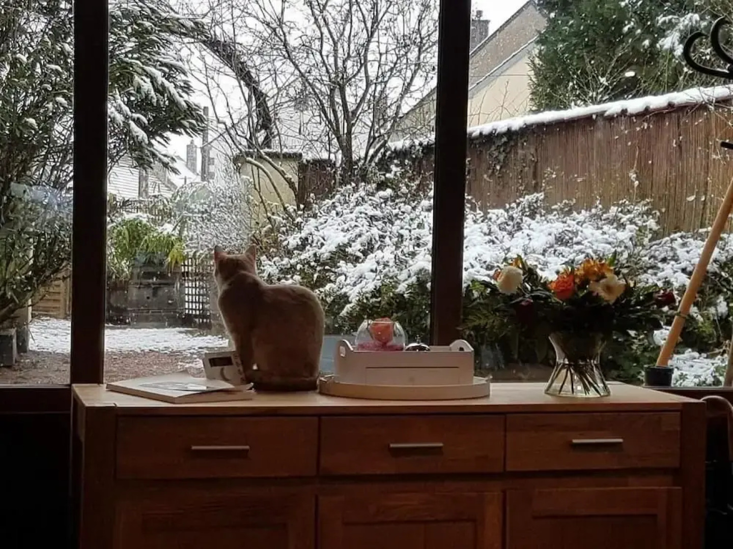 Les Insolites de la Pouillyzotte