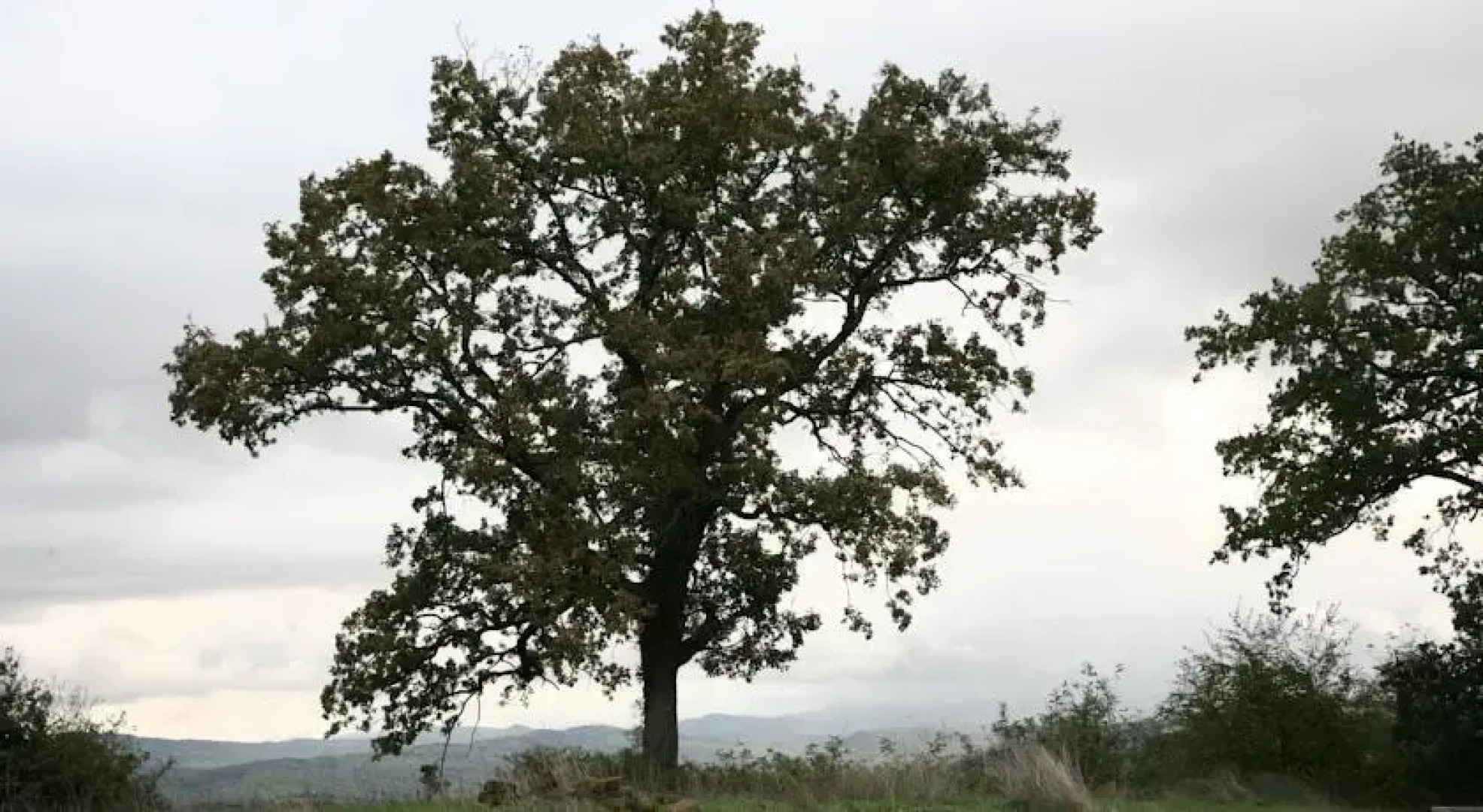 Casale Luna Tra Gli Ulivi
