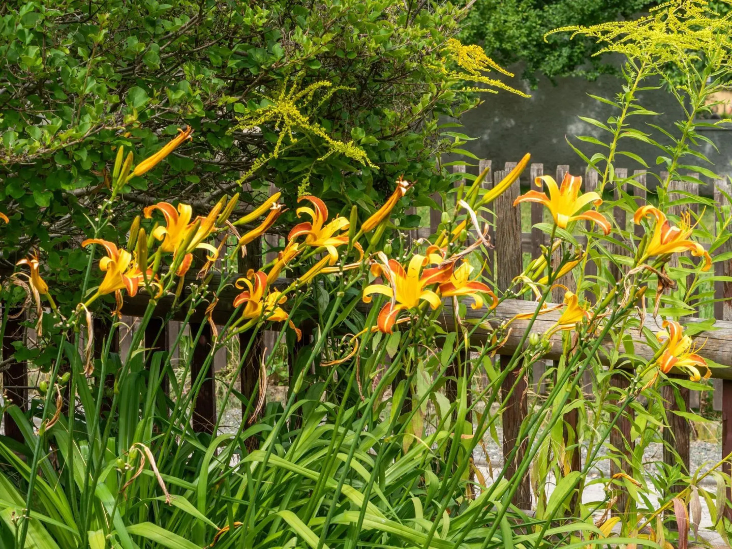 Apartment in Thuringia With Garden