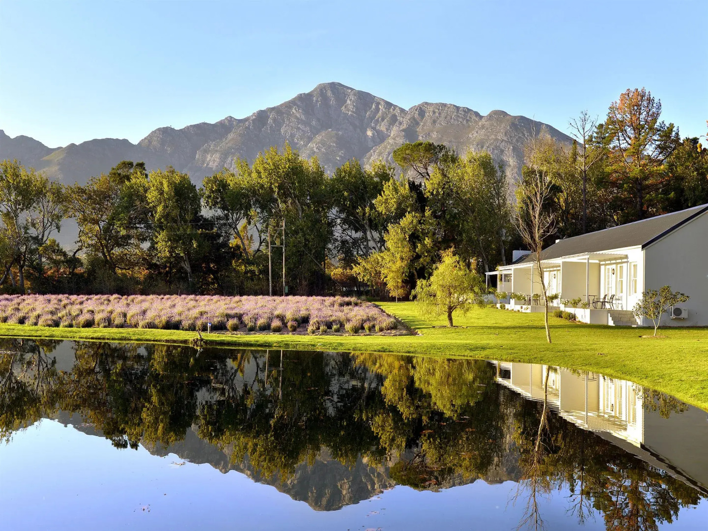 Lavender Farm Guest House