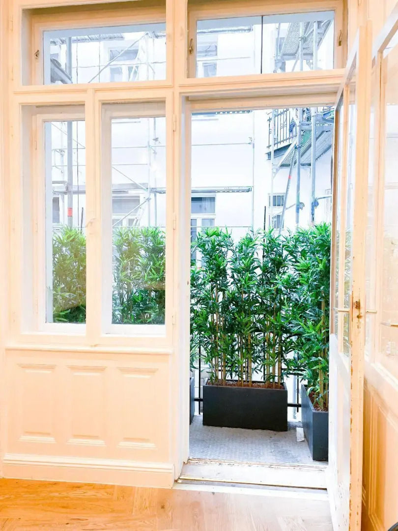 Отель Boutique Hotel Piano Nobile – am Stubenring