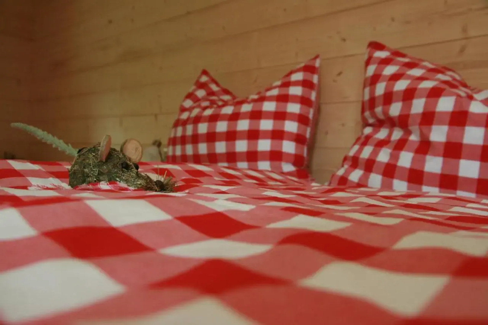 Ferienhaus Wiesbachgut