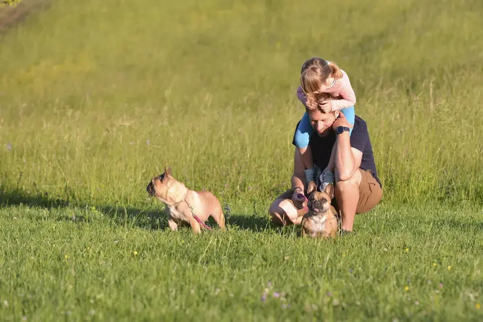 Apartments Vinska Trta