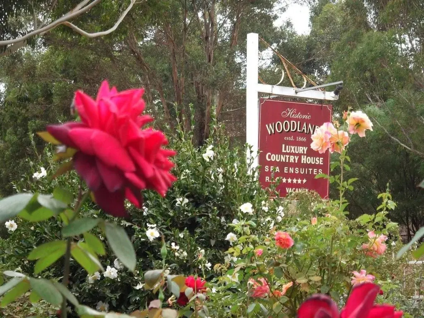 Woodlands of Bridgetown B&B