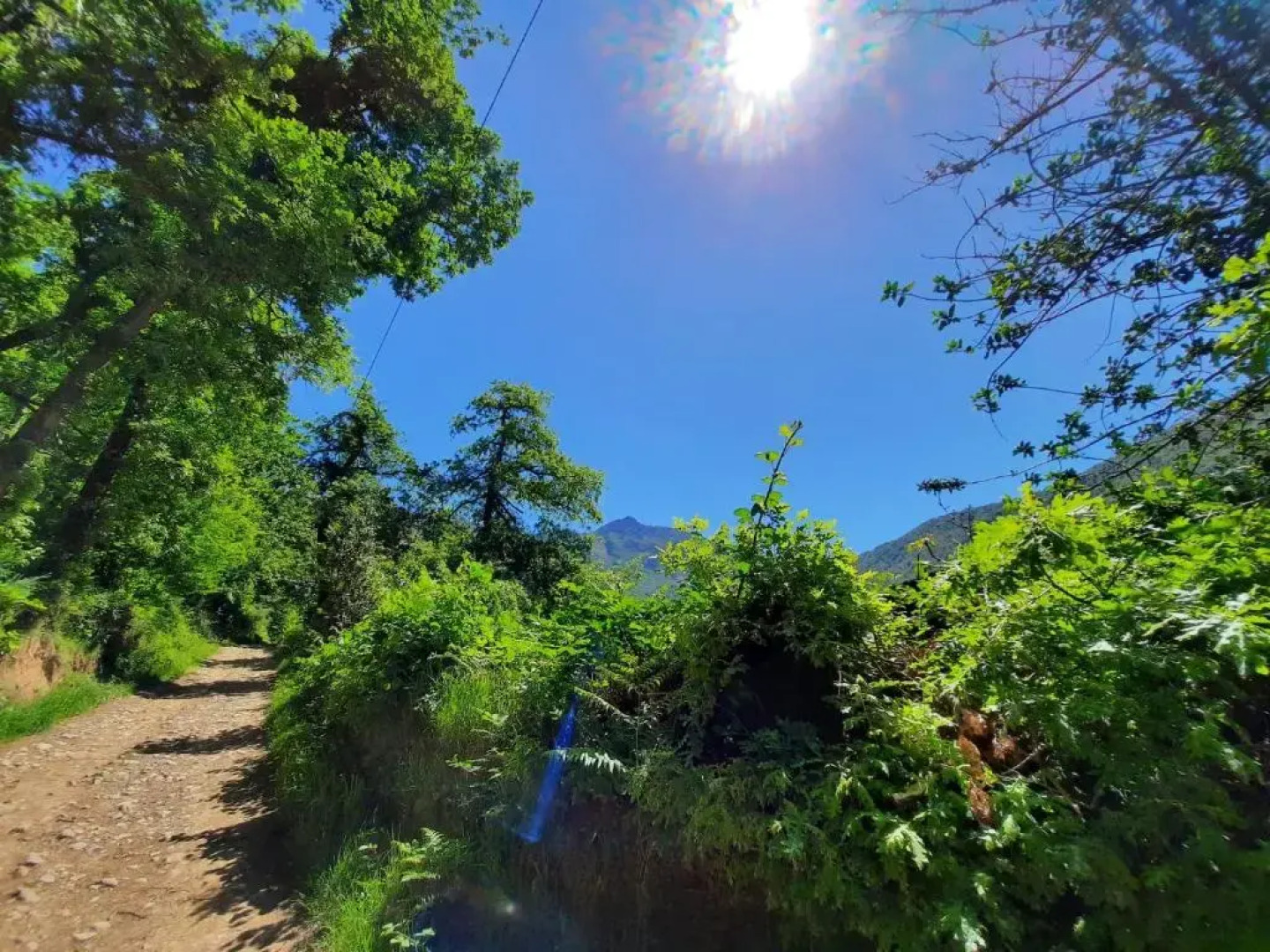 Hosteria Picos De Europa