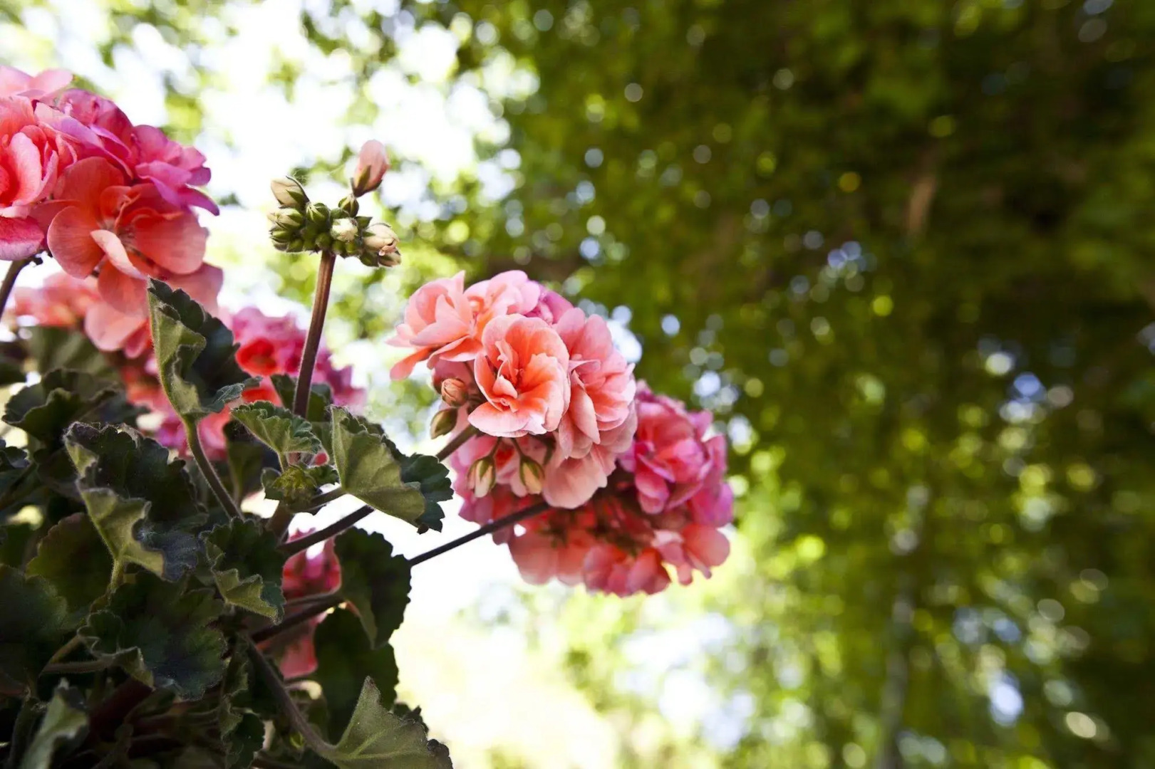 Relais Parco del Subasio