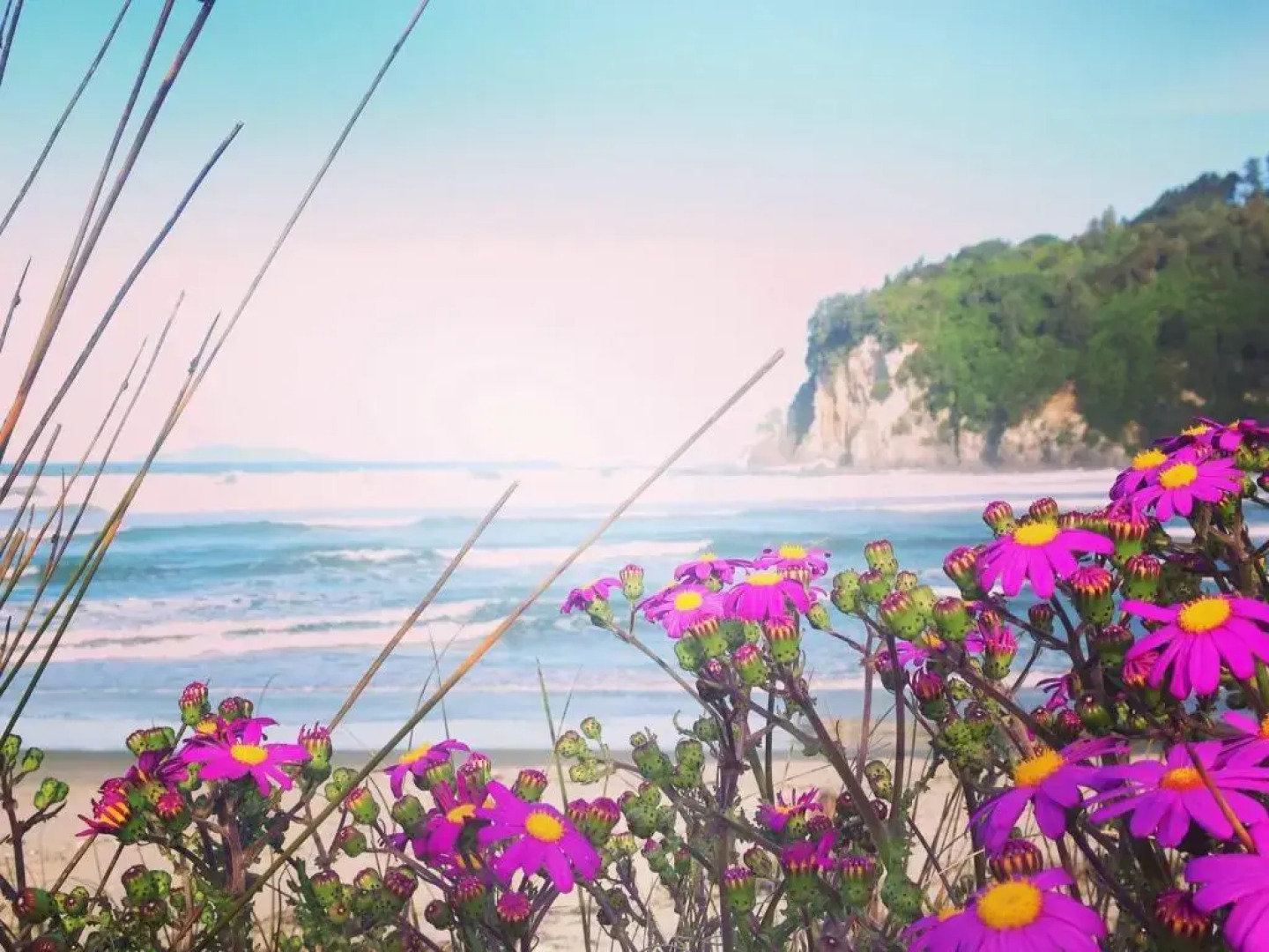 Estuary Retreat Whangamata