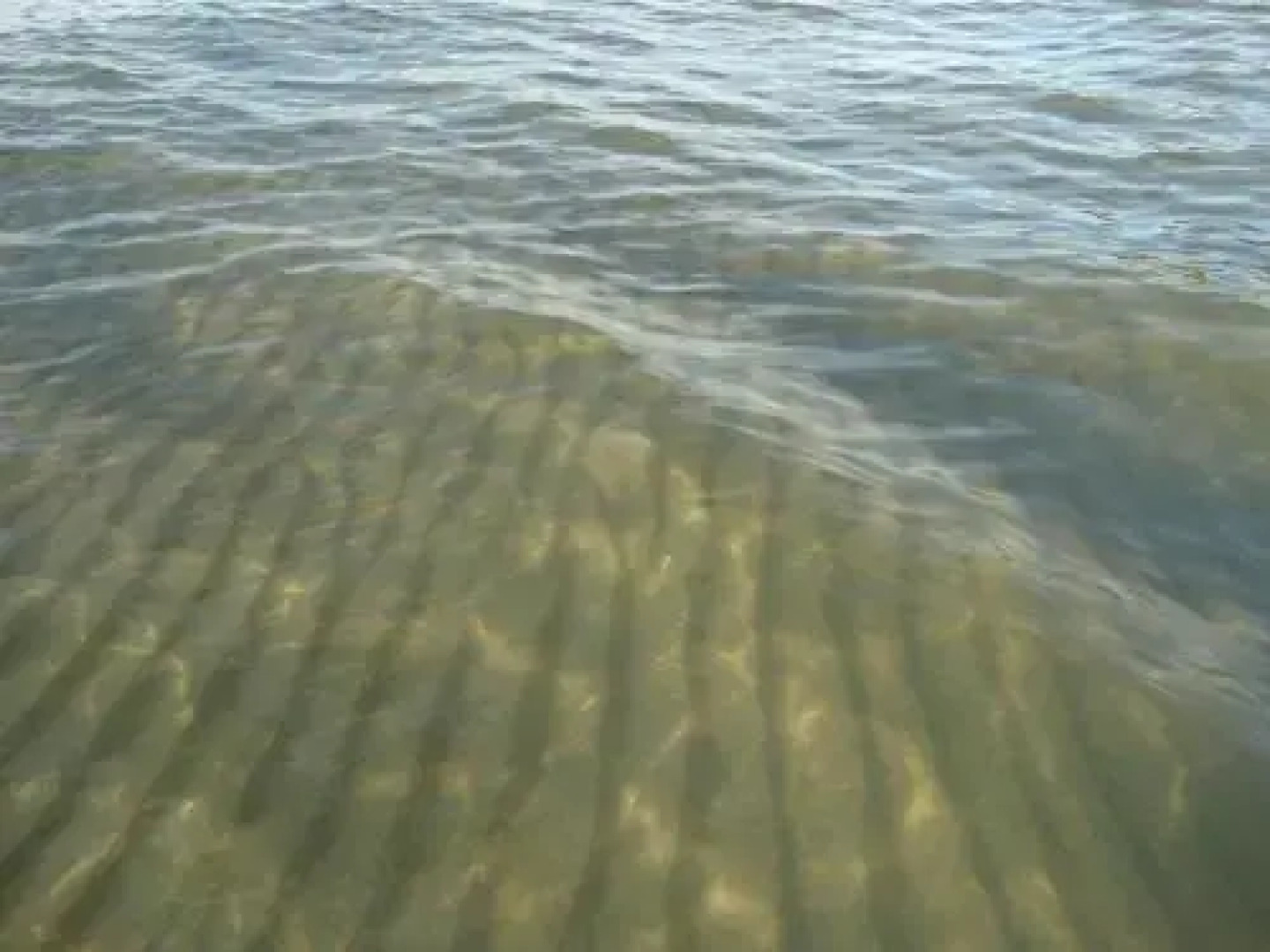 Domek Letniskowy Grażyna