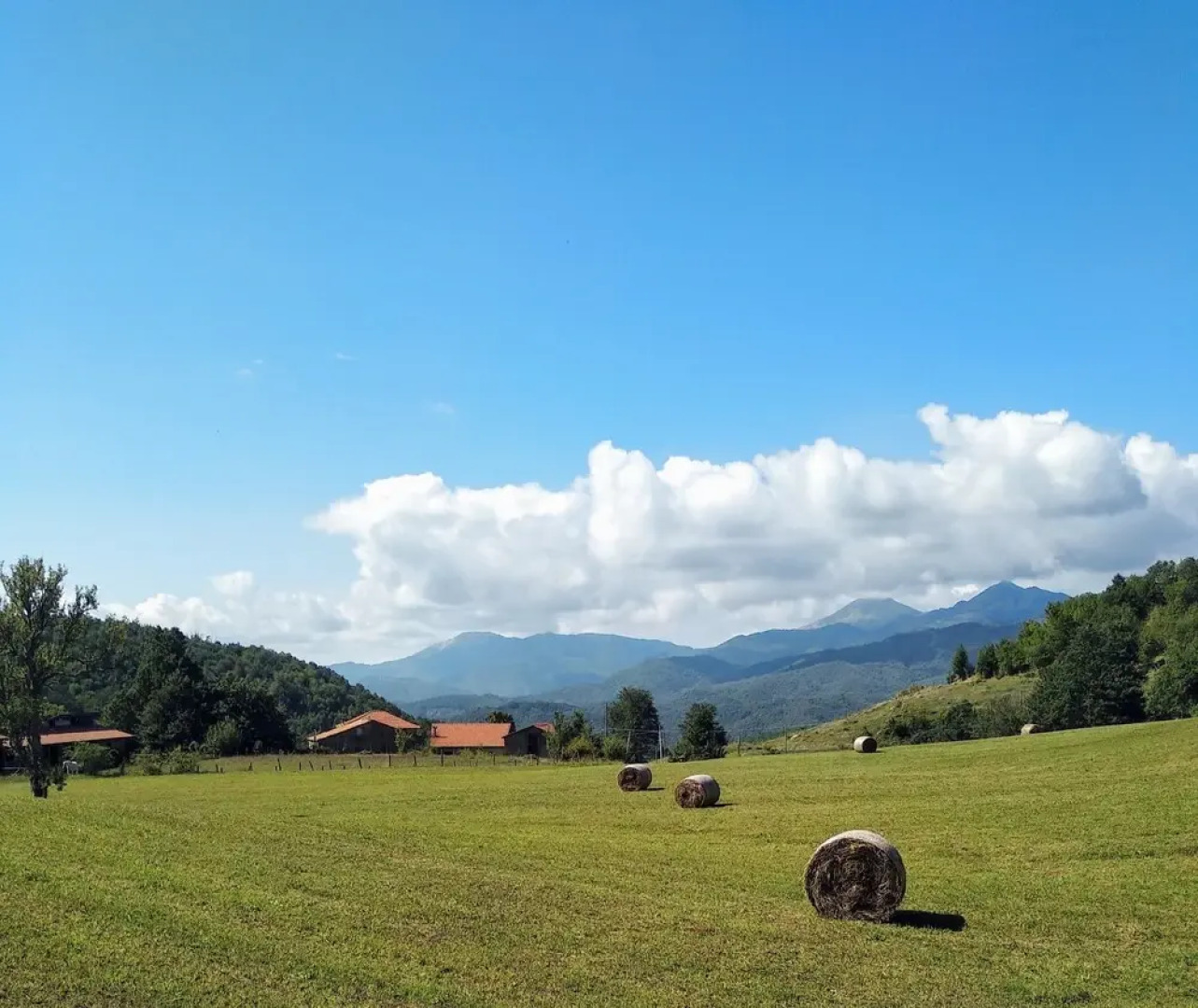 Agriturismo l'Origano