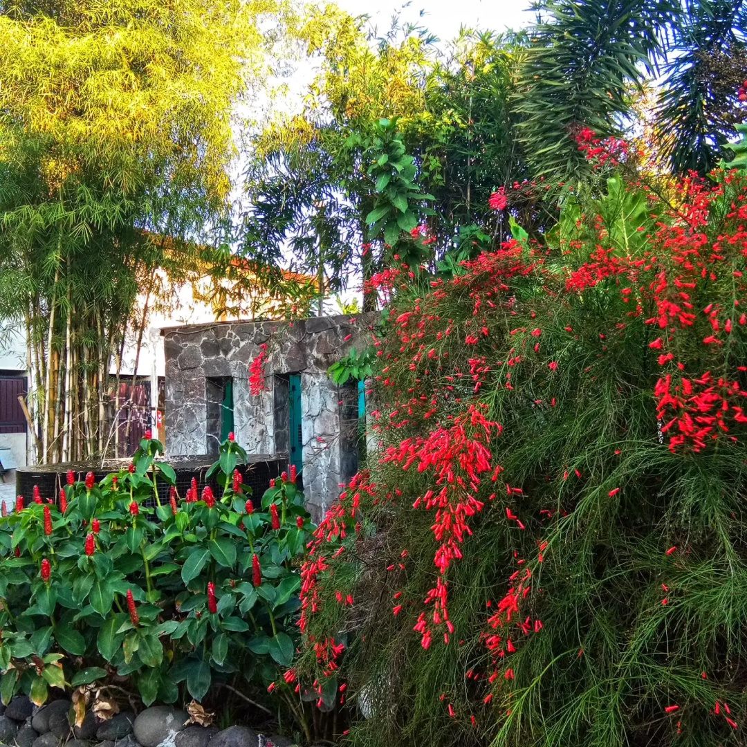 Asiatel Hotel, Sta. Rosa, Laguna