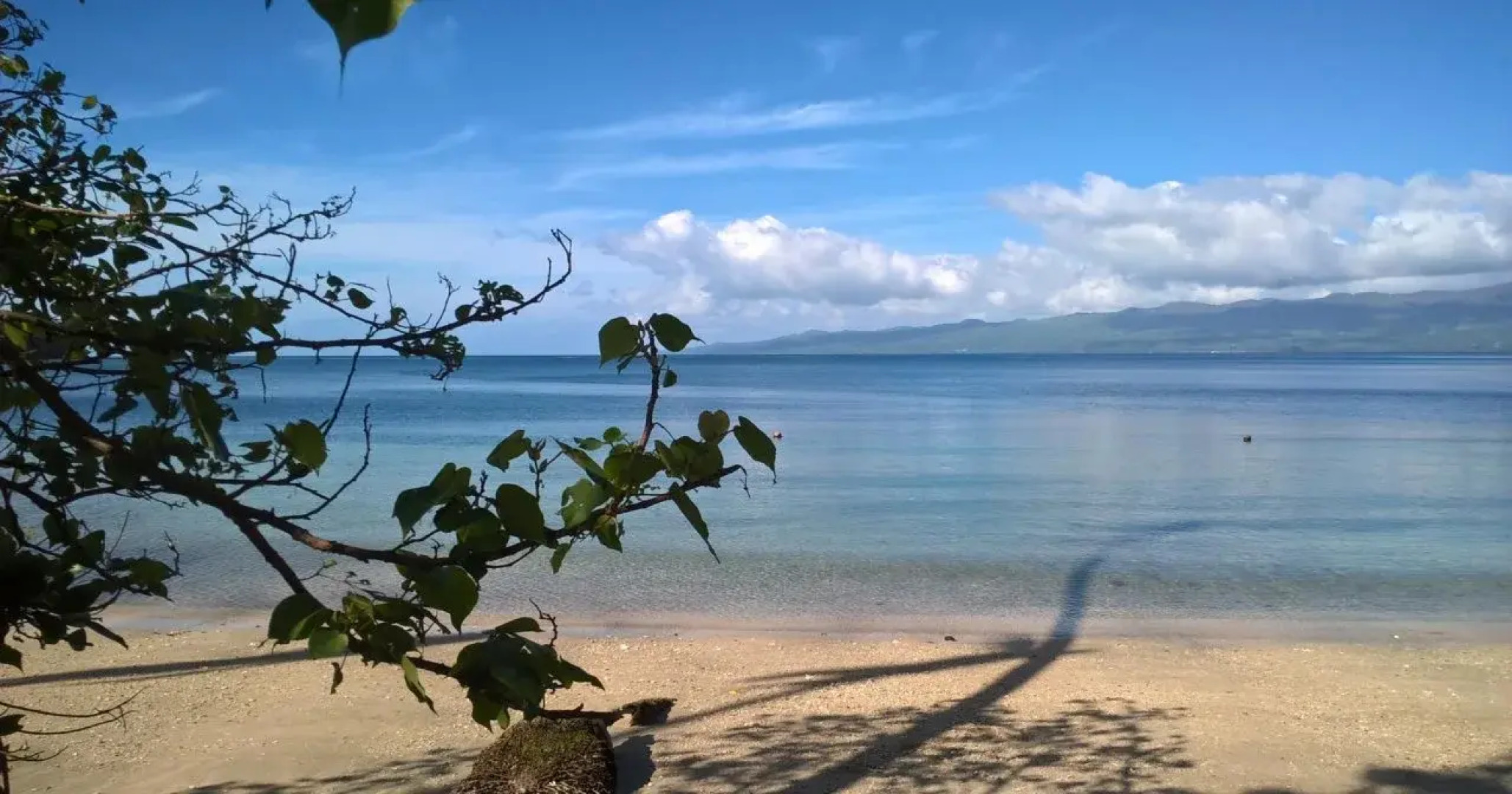 Dolphin Bay Divers Retreat